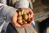 Bureomkkaegi (Eating nuts)