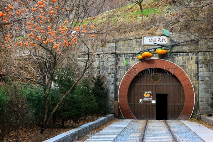 Wine Tunnel in Cheongdo