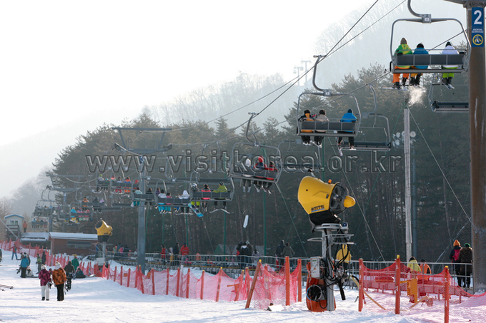 Yongpyeong Resort, Ski 