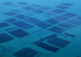 Sea Farms in W..