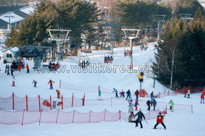 Yongpyeong Resort, Ski 
