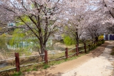 Suncheon Jorye Lake Park