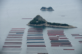 Sea Farms in W..