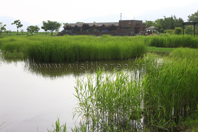 Suncheonman Bay Ecological Park 