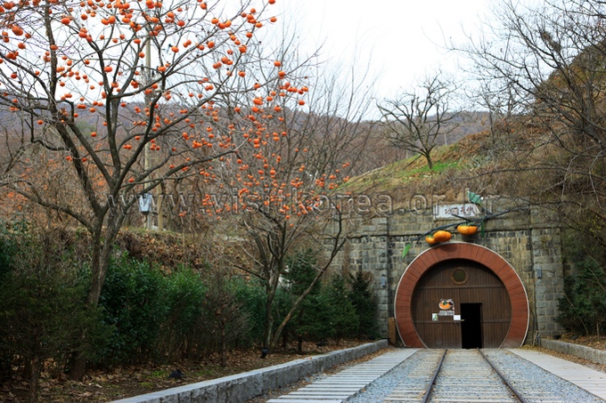 Wine Tunnel in Cheongdo