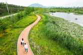 Yocheon Ecological Wetland Park