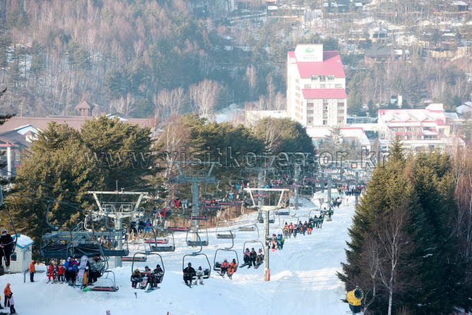 Yongpyeong Resort, Ski 