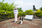 Osu Loyal Dog Tourist Area