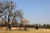 Gyeongbokgung Palace in Spring
