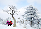 Winter Hike