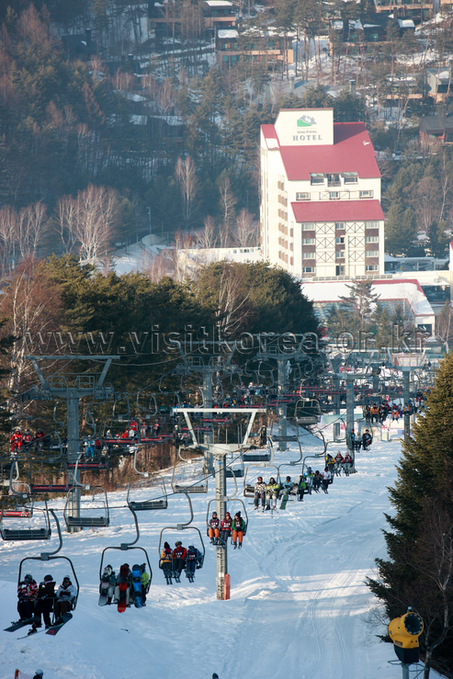 Yongpyeong Resort, Ski 