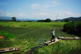 Uponeup Marsh