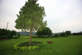 Pocheon View Garden