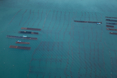 Sea Farms in W..