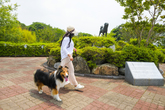 Osu Loyal Dog Tourist Area