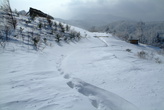 Seonjaryeong Snow Tracking