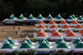Boseong Green ..