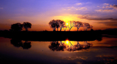 Dawn of Yeongsangang River Dawn of Yeongsangang River
