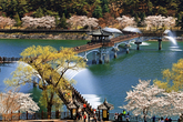 Spring in Woryeonggyo Bridge