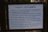 함양 상림공원