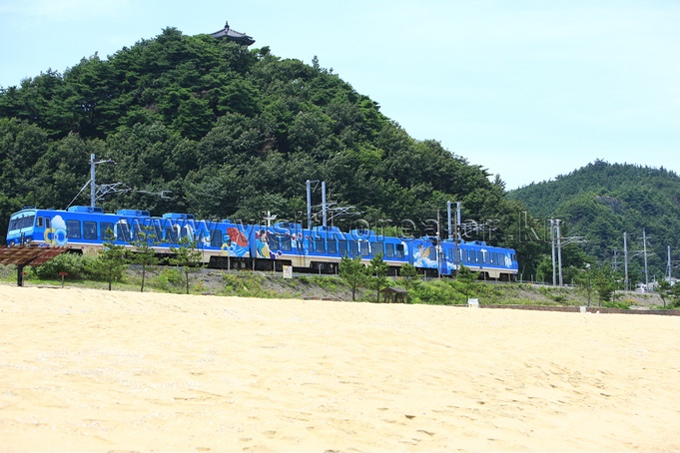 Coast Scenic Railway 