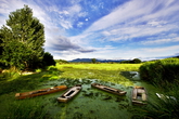 Uponeup Marsh