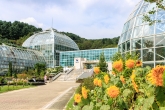 Korea National Arboretum and Forest Museum