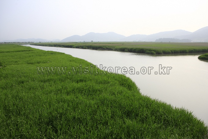 Suncheonman Bay Ecological Park 