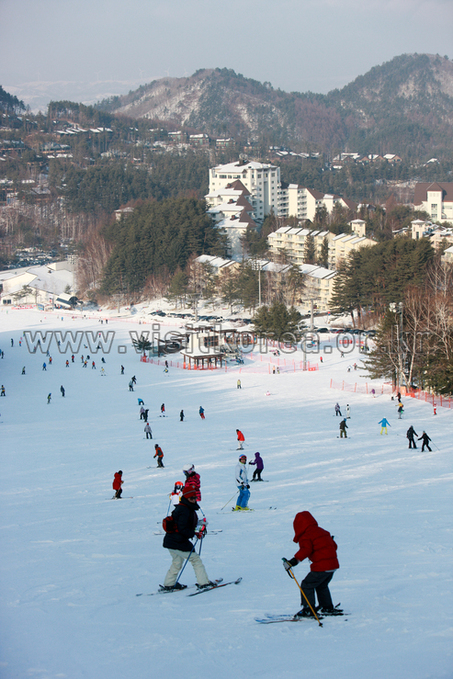 Yongpyeong Resort, Ski 