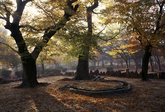 Gyeongju Poseokjeong Gyeongju Poseokjeong