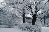 Snowscape of Nammun