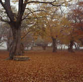 Gyeongju Gyerim Gyeongju Gyerim