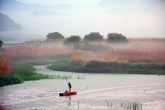 Uponeup Marsh