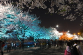 Yunjungno Street