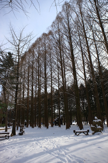 Namiseom 