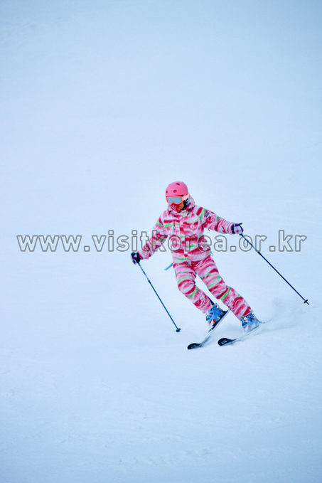 Yongpyeong Resort, Ski 