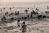 Gungpyeonghang Port Tide-land Festival Gungpyeonghang Port Tide-land Festival