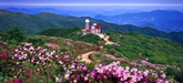 2010 Gyeongsangbuk-do Tourism Photo Contest
