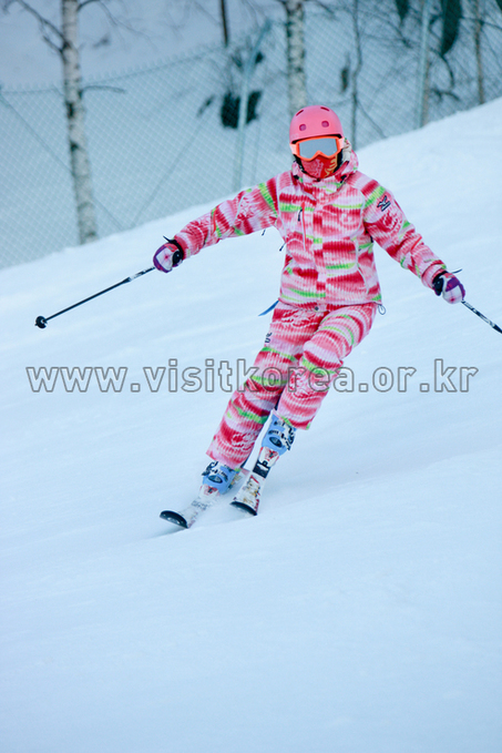 Yongpyeong Resort, Ski 