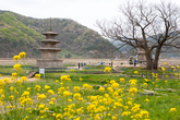 Three-Story Stone Pagoda on Gameunsaji