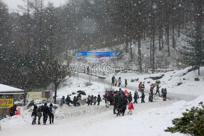 Mt.Taebaek Snow Festival