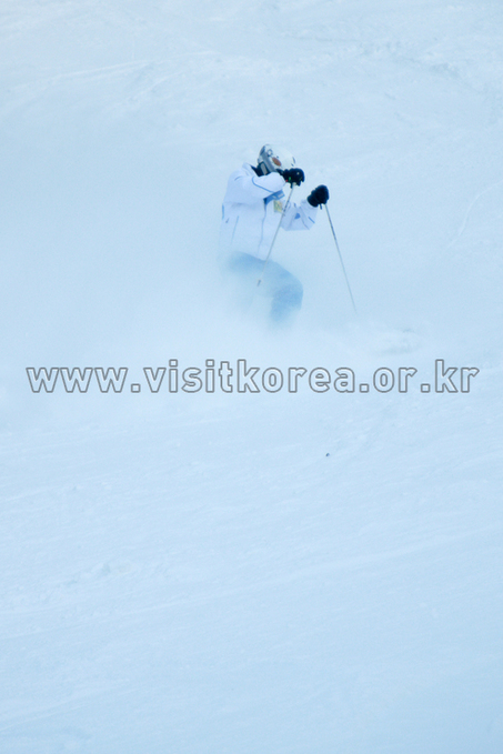 Yongpyeong Resort, Ski 