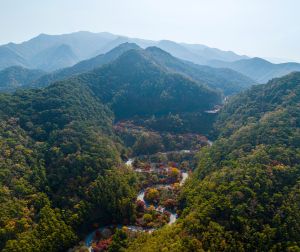 단양 보발재...4