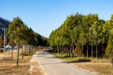 Georaeri Tree Park