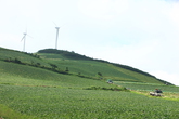 매봉산 풍력발전단지(바람의언덕)