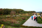 Jeju Eco Land Theme Park