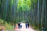Juknokwon(Bamboo Garden)