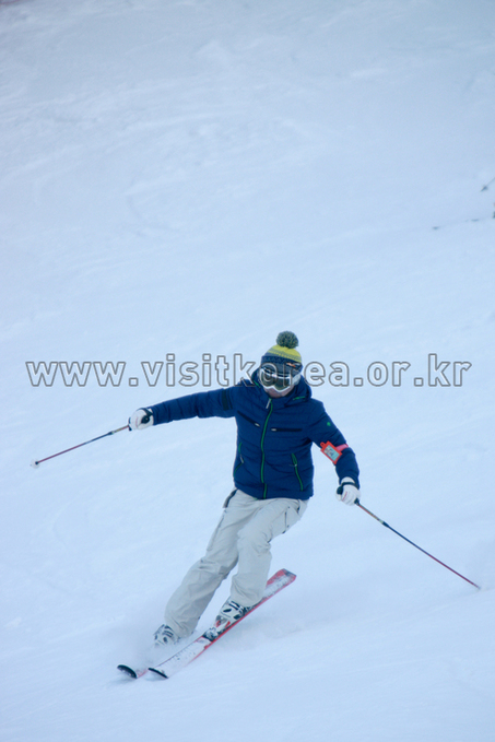 Yongpyeong Resort, Ski 