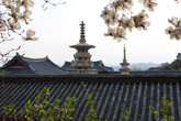 Bulguksa Temple