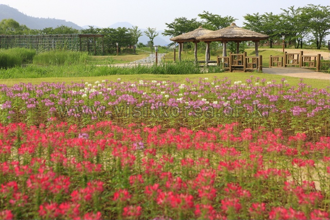 Suncheonman Bay Ecological Park 